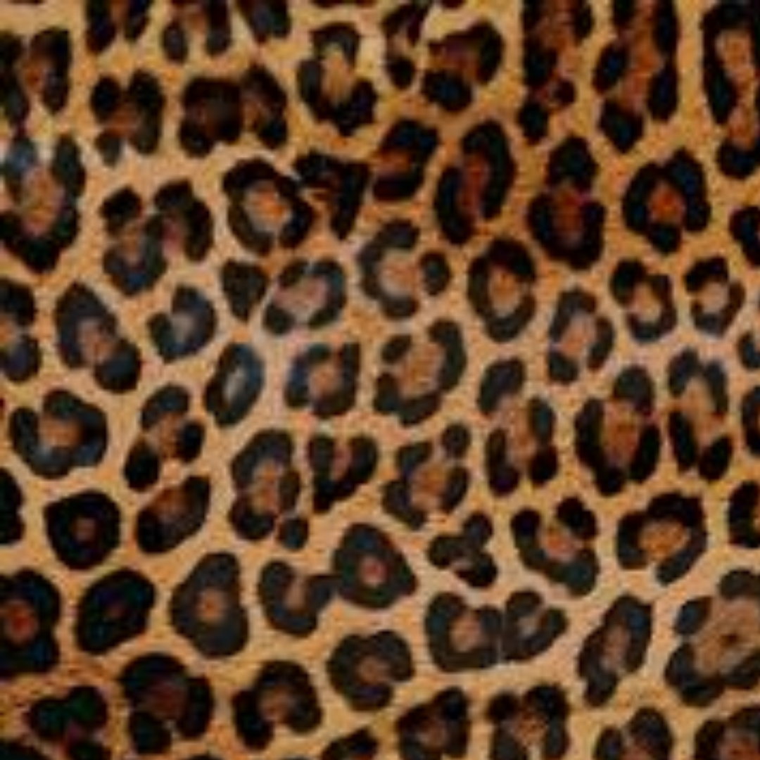 LEOPARDO
